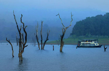 thekkady